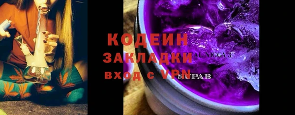 молекула духа Богданович