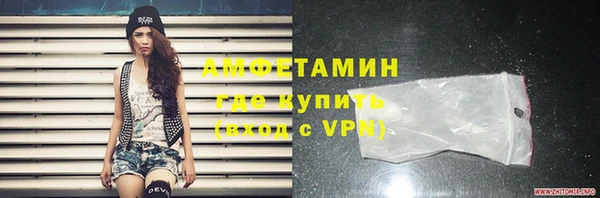 прущие грибы Богородицк