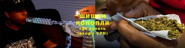 молекула духа Богданович