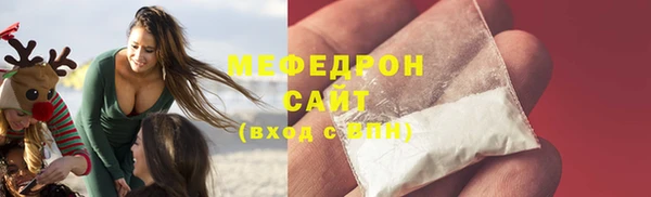 молекула духа Богданович