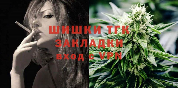 прущие грибы Богородицк