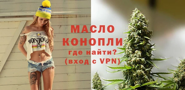 молекула духа Богданович