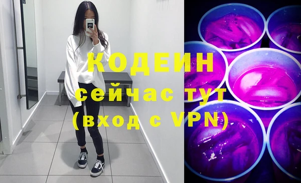 молекула духа Богданович
