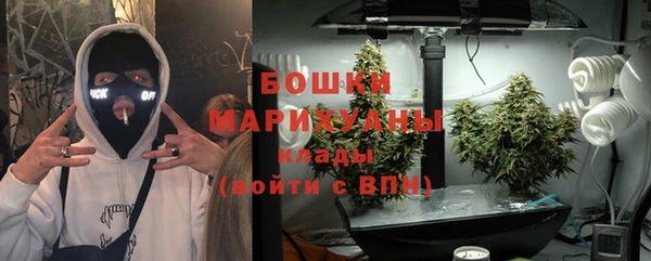 СК Богородск