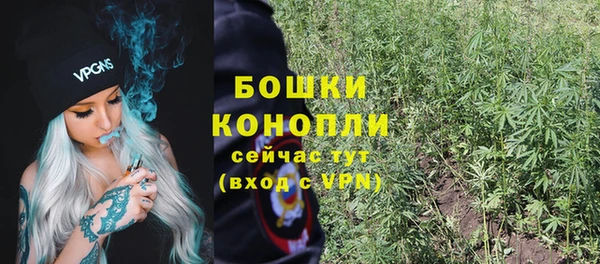 СК Богородск