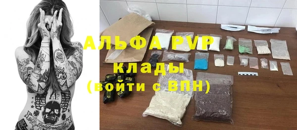 молекула духа Богданович
