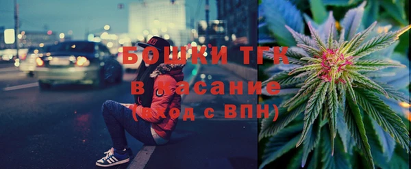 молекула духа Богданович