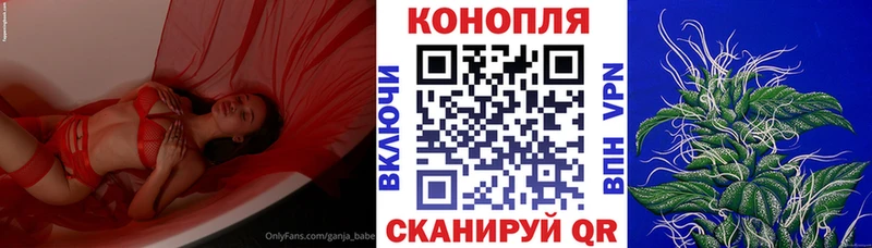 Конопля марихуана  Дигора 